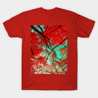 Autumn Trees T-Shirt